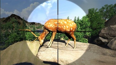 荒野狩猎模拟器汉化版